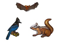   Oregon Caves Wildlife Lapel Pins